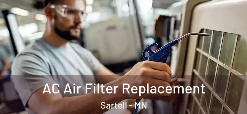 AC Air Filter Replacement Sartell - MN