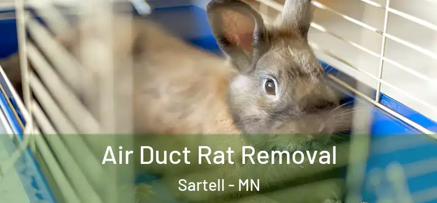 Air Duct Rat Removal Sartell - MN