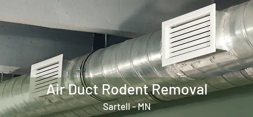  Air Duct Rodent Removal Sartell - MN