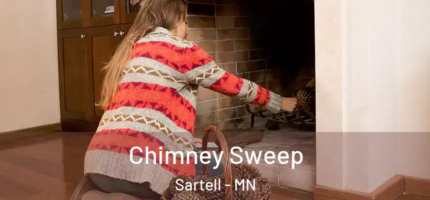 Chimney Sweep Sartell - MN