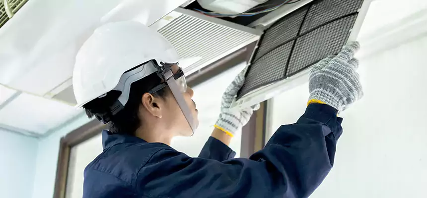 Our Mold & Mildew Removal from Air Ducts Services in Sartell, MN