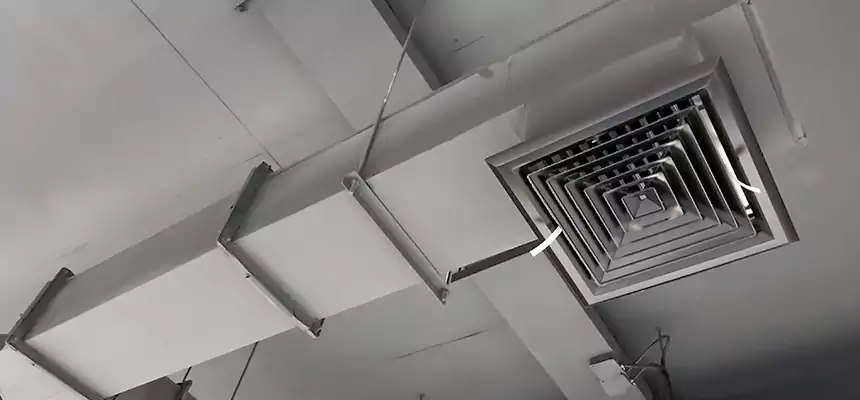 Our Rodent Droppings In Vents Services in Sartell, MN