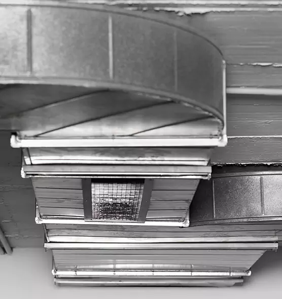 Professional Air Duct Pest Removal in Sartell, MN