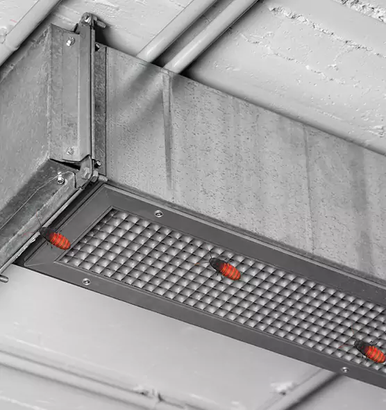 Affordable Insect Removal from Air Ducts in Sartell, MN